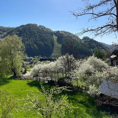 Dziki Rogacz Appartement Szczawnica