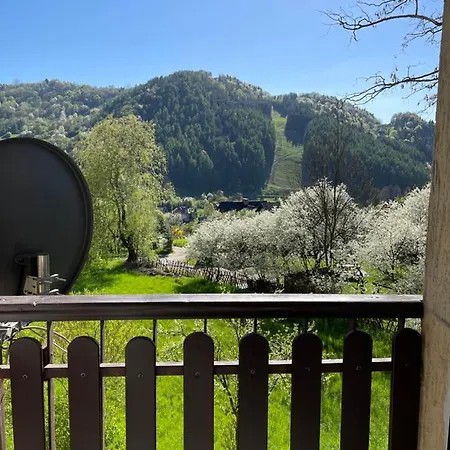 Dziki Rogacz Szczawnica