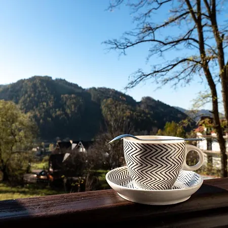 Dziki Rogacz Szczawnica