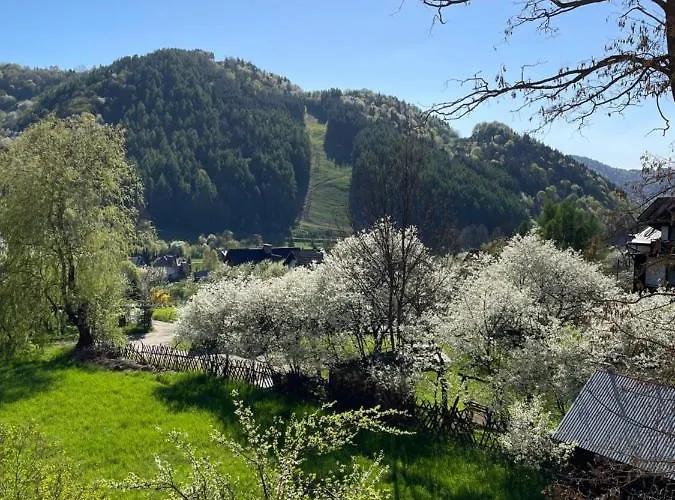 Dziki Rogacz דירה שצ'בניצה