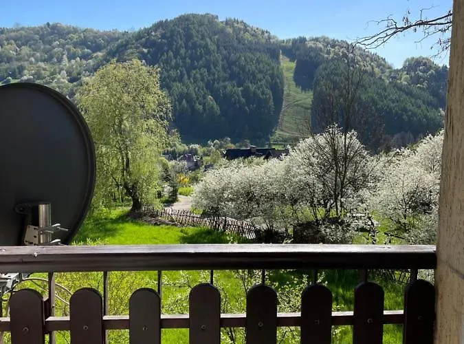 Dziki Rogacz שצ'בניצה