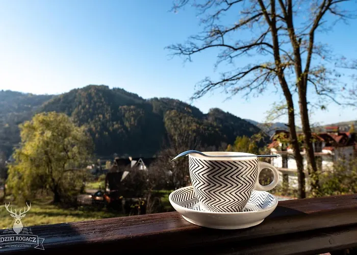 Dziki Rogacz שצ'בניצה